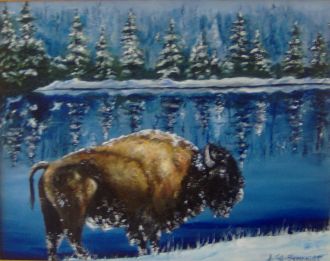 Bison pr�s du lac